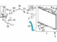OEM 2021 Acura TLX HOSE, WATER (LOWER) Diagram - 19502-6S9-A00