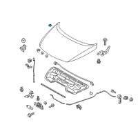 OEM Kia Sportage Plug-Wax Injection Hole Diagram - 841362B000