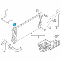 OEM Ford F-150 Radiator Cap Diagram - 6L2Z-8100-AC