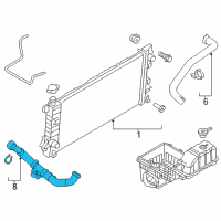 OEM Ford Lower Hose Diagram - BL3Z-8286-D