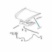 OEM 2009 Buick LaCrosse Strut Asm-Hood Diagram - 25885395