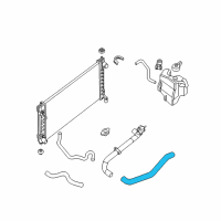 OEM Nissan Hose-Lower Diagram - 21503-9HA0B