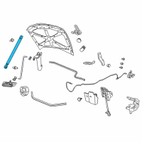 OEM 2014 Chevrolet Caprice Support Strut Diagram - 92246947