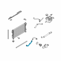 OEM 2017 Ford Explorer Lower Hose Diagram - AA5Z-8286-D