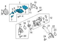 OEM 2021 Ford F-150 PUMP ASY - WATER Diagram - ML3Z-8501-B