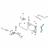 OEM 2010 Kia Rondo Hose-Radiator Lower Diagram - 254151D200