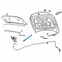 OEM 2017 Chevrolet SS Support Strut Diagram - 92289644