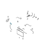 OEM 2008 Hyundai Santa Fe Hose-Radiator To Reservoir Diagram - 25451-2B100