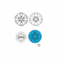 OEM 2021 Nissan Frontier Wheel Spare Diagram - 40300-ZP56A