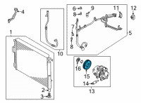 OEM Kia Carnival PULLEY ASSY-A/CON CO Diagram - 97643R0100