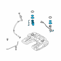 OEM 2009 BMW X6 Fuel Pump In Tank Pump And Filter Diagram - 16-11-7-212-585