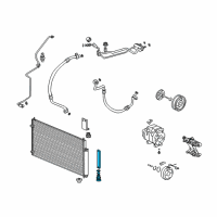 OEM 2009 Honda Element Filter Sub-Assembly Diagram - 80101-S9A-013