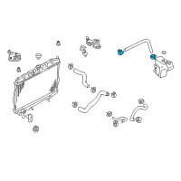 OEM 2001 Nissan Sentra Clip Diagram - 01555-00791