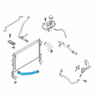 OEM 2015 Ford Mustang Lower Hose Diagram - FR3Z-8286-B