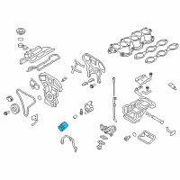 OEM 2009 Nissan Frontier Oil Filter Assembly Diagram - 15208-9E01A