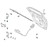 OEM 2019 Ford Police Responder Hybrid Lower Hinge Bolt Diagram - -W715134-S439