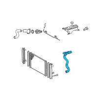 OEM Toyota RAV4 Lower Hose Diagram - 16571-0V020