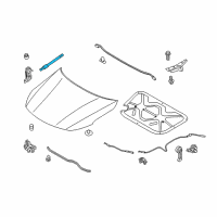 OEM 2016 Kia Optima LIFTER-Hood LH Diagram - 811612T000