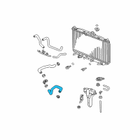 OEM 2007 Acura TSX Hose, Water (Lower) Diagram - 19505-RBA-000