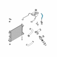 OEM 2013 Ford Mustang Overflow Hose Diagram - BR3Z-8C362-B