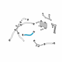 OEM Acura Hose (285MM) (ATF) Diagram - 25216-RWC-007