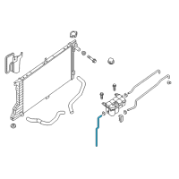 OEM 2018 Nissan Titan Hose-Reservoir Tank Diagram - 21744-EZ30B