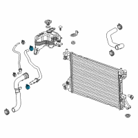 OEM 2014 Chevrolet Impala Lower Hose Clamp Diagram - 11570816