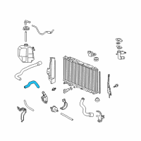 OEM 2010 Honda Civic Hose A, Water (Lower) Diagram - 19502-RMX-000