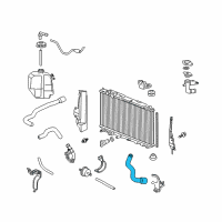 OEM 2011 Honda Civic Hose B, Water (Lower) Diagram - 19504-RMX-000