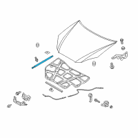 OEM 2015 Hyundai Genesis Coupe Lifter-Hood Diagram - 81161-2M502