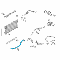 OEM 2018 Ford Special Service Police Sedan Lower Hose Diagram - DG1Z-8286-A