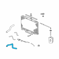 OEM 2004 Honda Odyssey Hose, Water (Lower) Diagram - 19502-P8F-A00