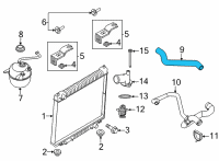 OEM 2004 Ford E-350 Club Wagon Upper Hose Diagram - XC2Z-8260-CB