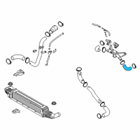 OEM 2018 Kia Stinger Hose-I/C Inlet, LH Diagram - 282823L202