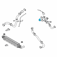 OEM 2021 Kia Stinger Hose-I/C Inlet, RH Diagram - 282813L202