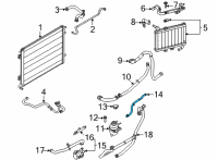 OEM 2022 Ford Mustang Reservoir Hose Diagram - KR3Z-8075-B