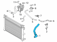 OEM 2019 Toyota Corolla Lower Hose Diagram - 16571-24060