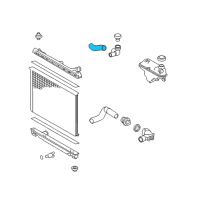 OEM Lexus GS300 Hose, Radiator, NO.1 Diagram - 16571-36260