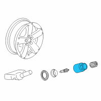 OEM Pontiac Torrent Tire Sensor Nut Diagram - 25976357