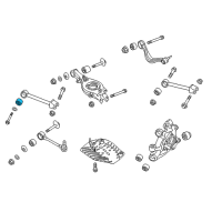 OEM Hyundai Genesis Bush-Trailing Arm Diagram - 55543-B1000