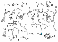 OEM Ford Outlet Hose Clamp Diagram - -W527311-S444