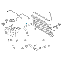 OEM Ford Upper Hose Clamp Diagram - BC3Z-8B365-C