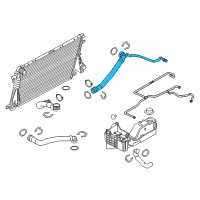 OEM 2015 Ford F-250 Super Duty Lower Hose Diagram - BC3Z-8286-B