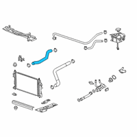 OEM 2014 Buick Regal Upper Hose Diagram - 20877113