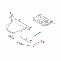 OEM 2010 Hyundai Sonata Lifter-Hood Diagram - 81161-3K000