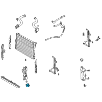 OEM 2006 BMW 325Ci Bracket For.Radiator Diagram - 17-11-1-436-264