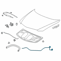 OEM 2021 Acura ILX Wire Assembly, Hood (Premium Black) Diagram - 74130-TV9-A01ZA