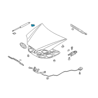 OEM 2005 Hyundai Tiburon Bracket Assembly-Hood LIFTER Mounting, L Diagram - 81162-2C000