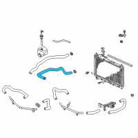 OEM 2009 Honda S2000 Hose, Water (Lower) Diagram - 19502-PCX-010