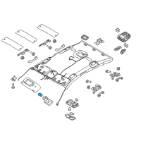 OEM 2020 Kia Telluride Bulb Diagram - 1864505019N